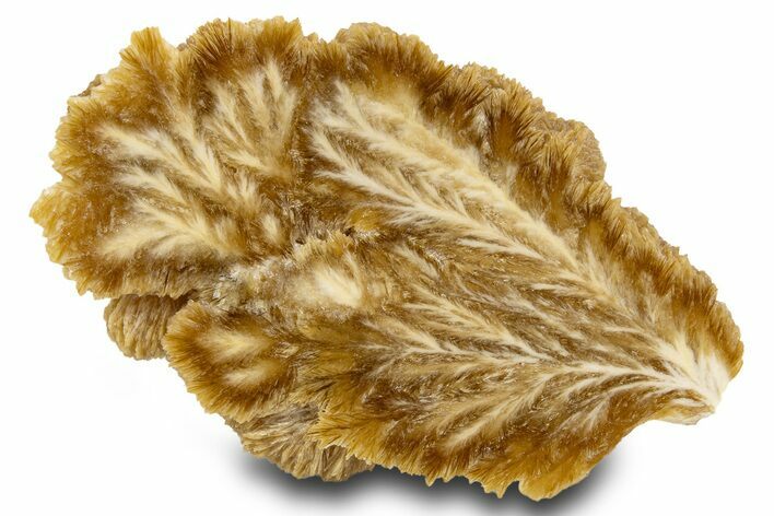 Polished Barite Slab - Lubin Mine, Poland #302374